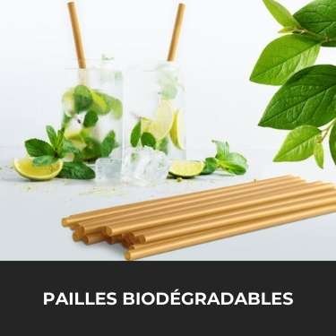 pailles biodégradables pour les hôtels mobile